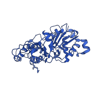 30179_7bti_C_v1-2
Phalloidin bound F-actin complex