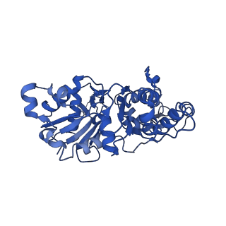 30179_7bti_D_v1-2
Phalloidin bound F-actin complex