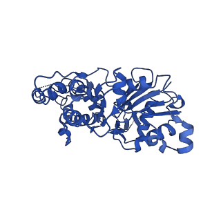 30179_7bti_E_v1-2
Phalloidin bound F-actin complex