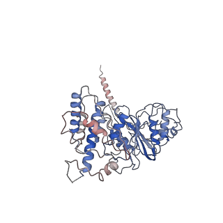 30180_7bto_A_v1-3
EcoR124I-ArdA in the Translocation State