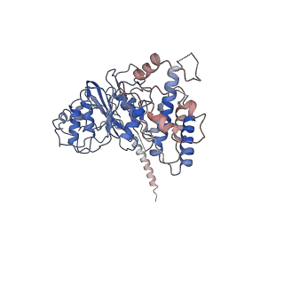 30180_7bto_B_v1-3
EcoR124I-ArdA in the Translocation State