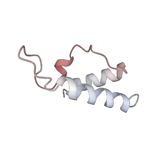 30180_7bto_C_v1-3
EcoR124I-ArdA in the Translocation State