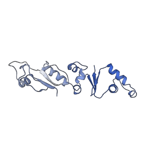 30180_7bto_D_v1-3
EcoR124I-ArdA in the Translocation State