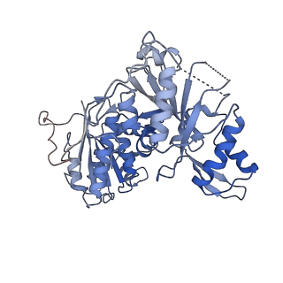 30180_7bto_F_v1-3
EcoR124I-ArdA in the Translocation State