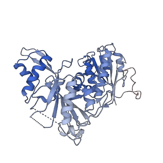 30180_7bto_G_v1-3
EcoR124I-ArdA in the Translocation State