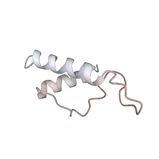 30180_7bto_H_v1-3
EcoR124I-ArdA in the Translocation State