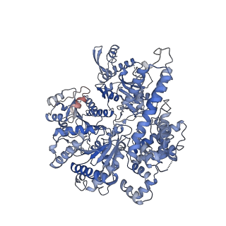 30181_7btp_A_v1-3
EcoR124I-Ocr in Restriction-Alleviation State