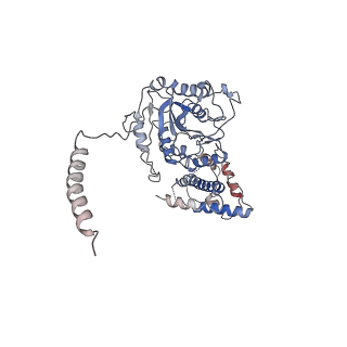 30181_7btp_B_v1-3
EcoR124I-Ocr in Restriction-Alleviation State