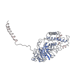 30181_7btp_C_v1-3
EcoR124I-Ocr in Restriction-Alleviation State