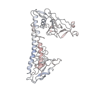 30181_7btp_E_v1-3
EcoR124I-Ocr in Restriction-Alleviation State