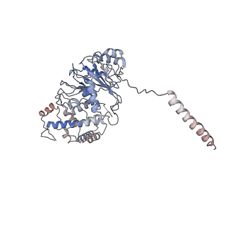 30182_7btq_A_v1-2
EcoR124I-DNA in the Restriction-Alleviation State