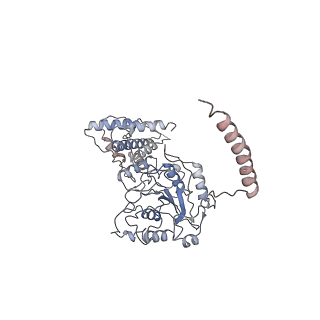 30182_7btq_D_v1-2
EcoR124I-DNA in the Restriction-Alleviation State
