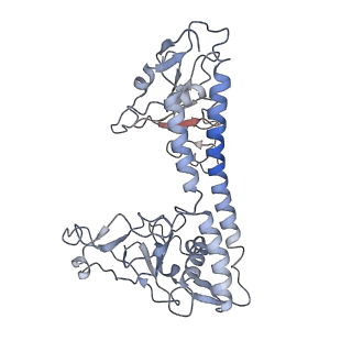 30182_7btq_E_v1-2
EcoR124I-DNA in the Restriction-Alleviation State