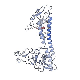 30182_7btq_E_v1-3
EcoR124I-DNA in the Restriction-Alleviation State