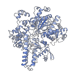 30182_7btq_F_v1-2
EcoR124I-DNA in the Restriction-Alleviation State