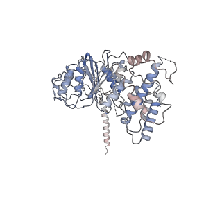 30183_7btr_A_v1-3
EcoR124I-ArdA in the Restriction-Alleviation State