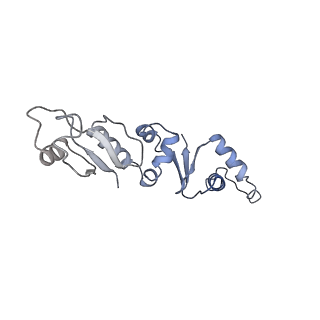 30183_7btr_B_v1-3
EcoR124I-ArdA in the Restriction-Alleviation State