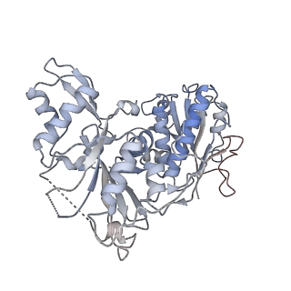 30183_7btr_C_v1-3
EcoR124I-ArdA in the Restriction-Alleviation State