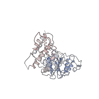 30183_7btr_D_v1-3
EcoR124I-ArdA in the Restriction-Alleviation State