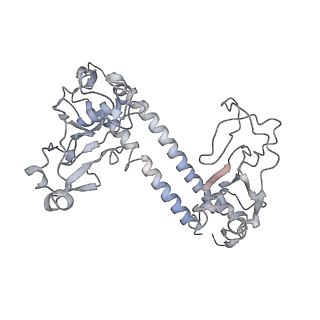 30183_7btr_E_v1-3
EcoR124I-ArdA in the Restriction-Alleviation State