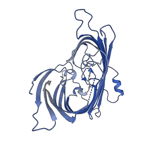 30190_7btx_A_v1-2
The mitochondrial SAM-Mdm10 supercomplex in GDN micelle from S.cere