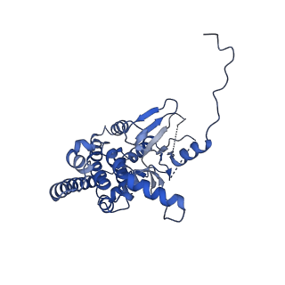 30190_7btx_B_v1-1
The mitochondrial SAM-Mdm10 supercomplex in GDN micelle from S.cere