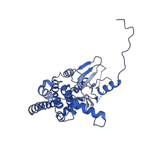 30190_7btx_B_v1-2
The mitochondrial SAM-Mdm10 supercomplex in GDN micelle from S.cere