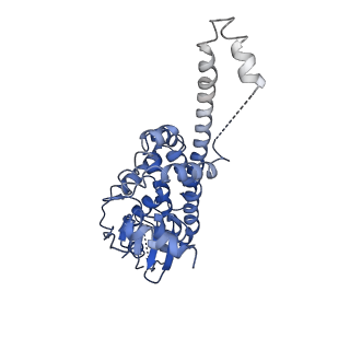 30190_7btx_C_v1-1
The mitochondrial SAM-Mdm10 supercomplex in GDN micelle from S.cere