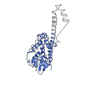 30190_7btx_C_v1-2
The mitochondrial SAM-Mdm10 supercomplex in GDN micelle from S.cere