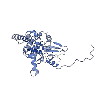 30191_7bty_B_v1-2
The mitochondrial SAM-Mdm10 supercomplex in Nanodisc from S.cere