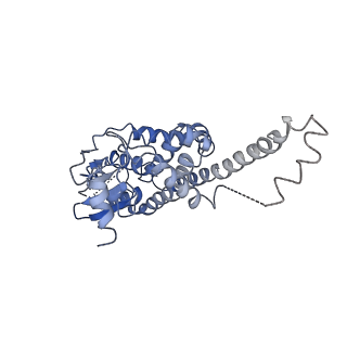 30191_7bty_C_v1-2
The mitochondrial SAM-Mdm10 supercomplex in Nanodisc from S.cere