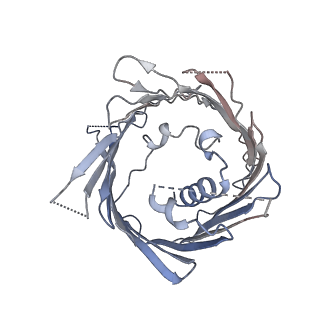 30191_7bty_L_v1-2
The mitochondrial SAM-Mdm10 supercomplex in Nanodisc from S.cere