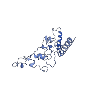 7286_6btm_A_v2-2
Structure of Alternative Complex III from Flavobacterium johnsoniae (Wild Type)