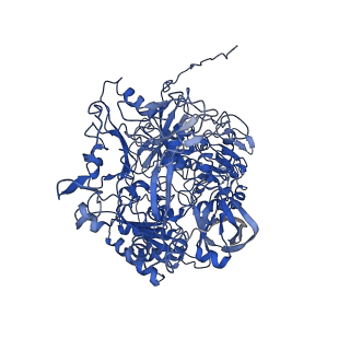 7286_6btm_B_v1-1
Structure of Alternative Complex III from Flavobacterium johnsoniae (Wild Type)