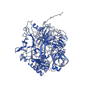 7286_6btm_B_v2-2
Structure of Alternative Complex III from Flavobacterium johnsoniae (Wild Type)