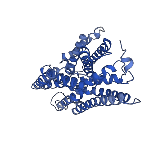 7286_6btm_F_v2-2
Structure of Alternative Complex III from Flavobacterium johnsoniae (Wild Type)