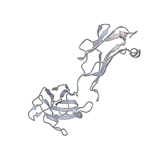 8243_6bt3_A_v1-1
High-Resolution Structure Analysis of Antibody V5 Conformational Epitope on Human Papillomavirus 16