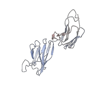 8243_6bt3_B_v1-1
High-Resolution Structure Analysis of Antibody V5 Conformational Epitope on Human Papillomavirus 16