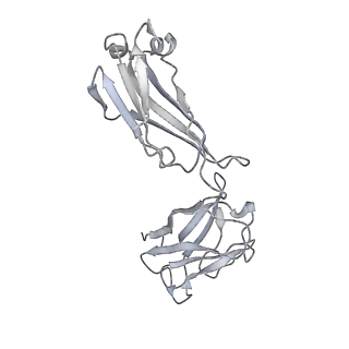 8243_6bt3_C_v1-1
High-Resolution Structure Analysis of Antibody V5 Conformational Epitope on Human Papillomavirus 16