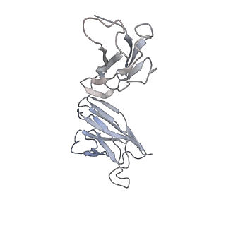 8243_6bt3_D_v1-1
High-Resolution Structure Analysis of Antibody V5 Conformational Epitope on Human Papillomavirus 16