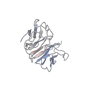 8243_6bt3_F_v1-1
High-Resolution Structure Analysis of Antibody V5 Conformational Epitope on Human Papillomavirus 16