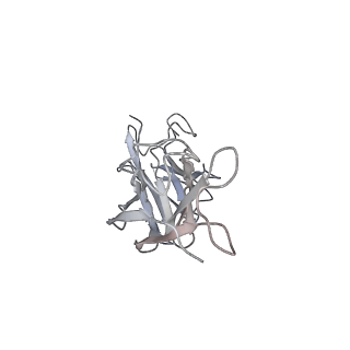 8243_6bt3_H_v1-1
High-Resolution Structure Analysis of Antibody V5 Conformational Epitope on Human Papillomavirus 16