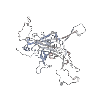 8243_6bt3_I_v1-1
High-Resolution Structure Analysis of Antibody V5 Conformational Epitope on Human Papillomavirus 16