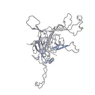 8243_6bt3_J_v1-1
High-Resolution Structure Analysis of Antibody V5 Conformational Epitope on Human Papillomavirus 16