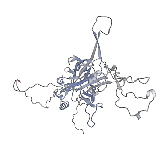 8243_6bt3_K_v1-1
High-Resolution Structure Analysis of Antibody V5 Conformational Epitope on Human Papillomavirus 16