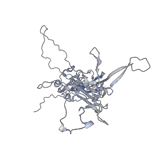 8243_6bt3_L_v1-1
High-Resolution Structure Analysis of Antibody V5 Conformational Epitope on Human Papillomavirus 16