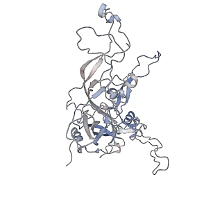 8243_6bt3_N_v1-1
High-Resolution Structure Analysis of Antibody V5 Conformational Epitope on Human Papillomavirus 16