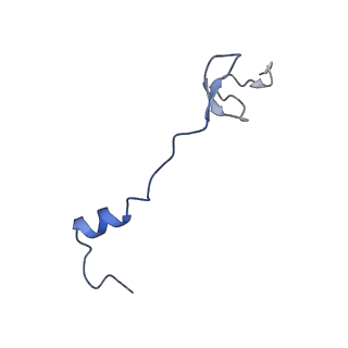 16246_8buu_0_v1-1
ARE-ABCF VmlR2 bound to a 70S ribosome