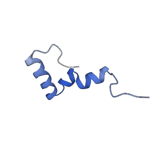 16246_8buu_2_v1-1
ARE-ABCF VmlR2 bound to a 70S ribosome