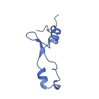 16246_8buu_3_v1-1
ARE-ABCF VmlR2 bound to a 70S ribosome